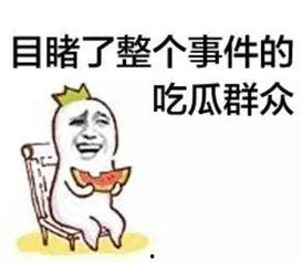 吃瓜娱乐摆脱社恐是真的吗